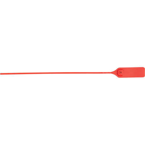 Scell&eacute; de s&eacute;curit&eacute; robuste, 13", Plastique, Scell&eacute; &agrave; tirer Distribution Industrielle GC