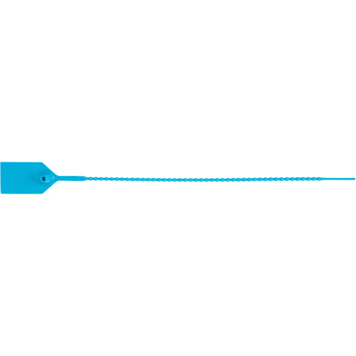 Scell&eacute; de s&eacute;curit&eacute; standard, 12", Plastique, Scell&eacute; en plastique Distribution Industrielle GC