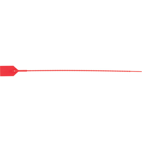 Scell&eacute; de s&eacute;curit&eacute; standard, 15", Plastique, Scell&eacute; en plastique Distribution Industrielle GC