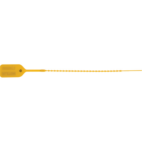 Scell&eacute; de s&eacute;curit&eacute; standard, 9", Plastique, Pousser et tirer Distribution Industrielle GC
