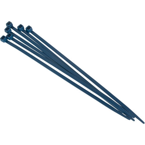 Metal Detectable Cable Ties, 6" L, 120 lbs. Tensile Strength Distribution Industrielle GC