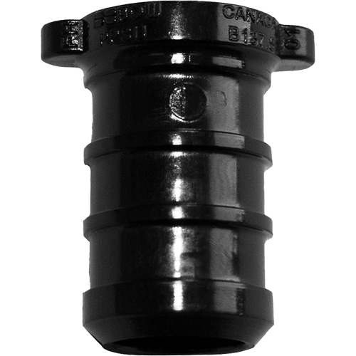 Pipe Plug, Pipe, 1/2" Dia., Polyalloy Distribution Industrielle GC