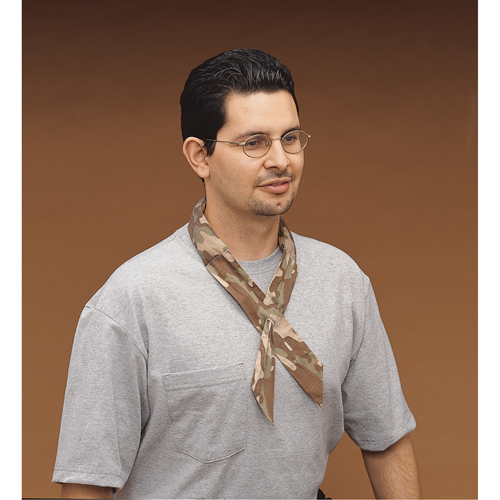 ALLEGRO INDUSTRIES Cool Offs Bandana, Multi-Colour Distribution Industrielle GC