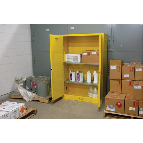 Armoire pour produits inflammables, 45 gal., 2 Porte(s), 43" La x 65" h x 18" p Distribution Industrielle GC