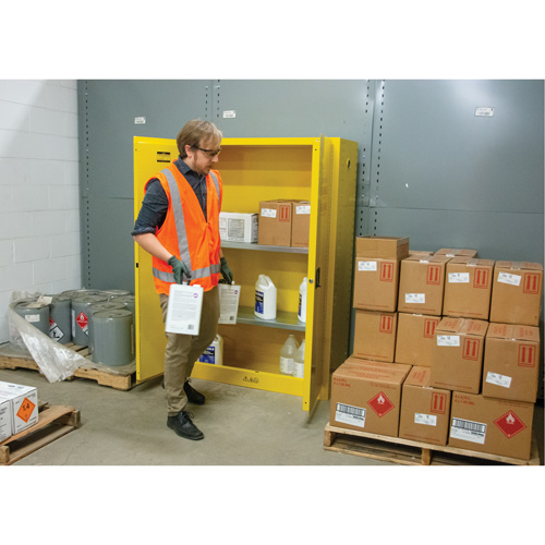 Armoire pour produits inflammables, 45 gal., 2 Porte(s), 43" La x 65" h x 18" p Distribution Industrielle GC