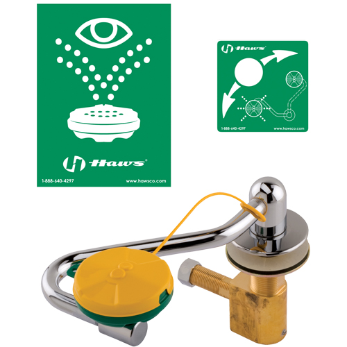 Eye/Face Wash Station, Sink Mount Installation Distribution Industrielle GC