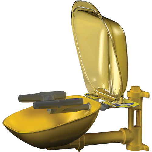 Halo Face/Eyewash Stations, Wall-Mount Installation, Plastic Bowl Distribution Industrielle GC