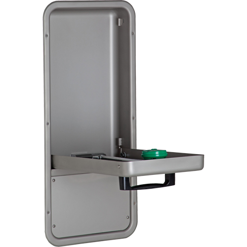 Eye/Face Wash Station, Wall-Mount Installation, Stainless Steel Bowl Distribution Industrielle GC