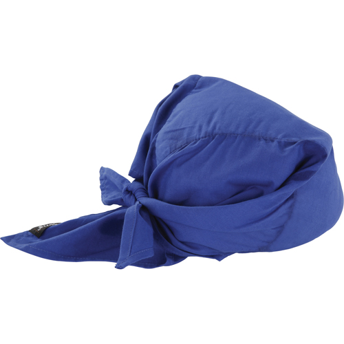 Chill-Its&reg; 6710CT Cooling Triangle Hats, Blue Distribution Industrielle GC