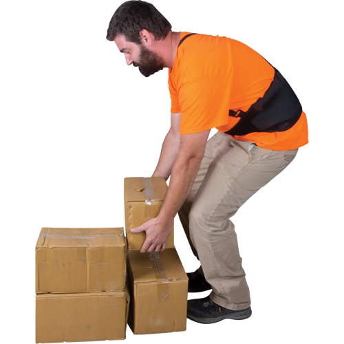 Support lombaire, &eacute;lastique, Petit Distribution Industrielle GC
