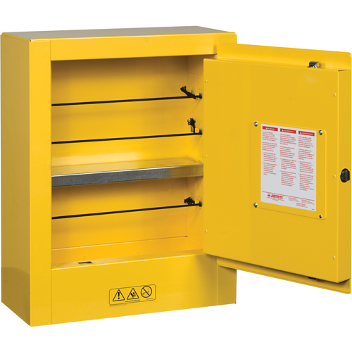 Mini-armoires de s&eacute;curit&eacute; Sure-Grip EX pour produits inflammables, 2 gal., 1 Porte(s), 17" La x 22" h x 8" p Distribution Industrielle GC