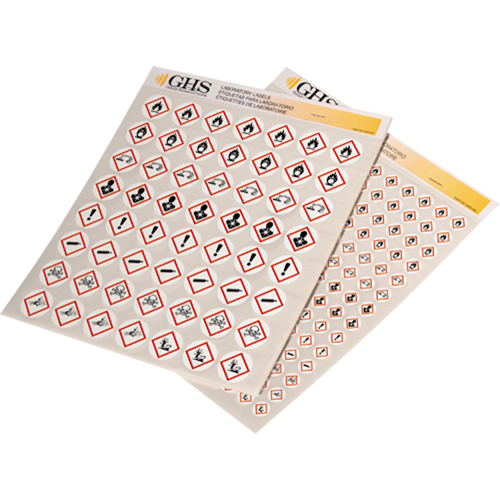 GHS Hazard Pictogram Label Variety Packs, Vinyl, Sheet, 1" L x 1" W Distribution Industrielle GC