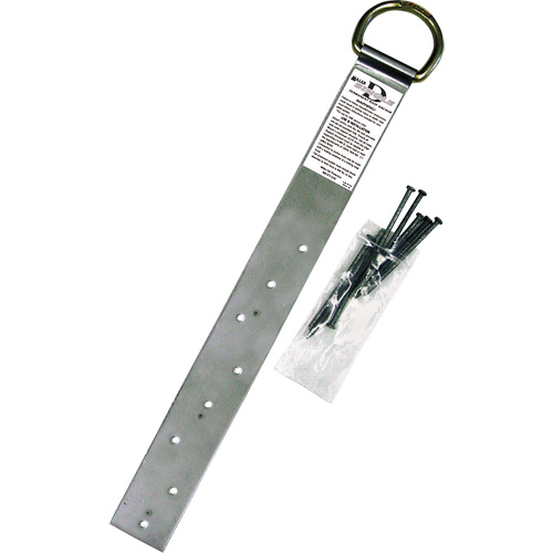 Ancrage simple pour toiture Miller, Anneau en D, Usage Permanent Distribution Industrielle GC