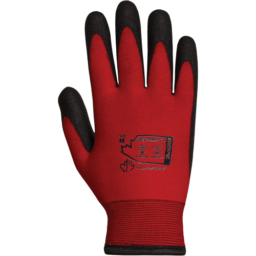 Gants doubl&eacute;s pour l'hiver Dexterity, 10/T-Grand, R&ecirc;vetement PVC, Calibre 15, Enveloppe en Nylon Distribution Industrielle GC