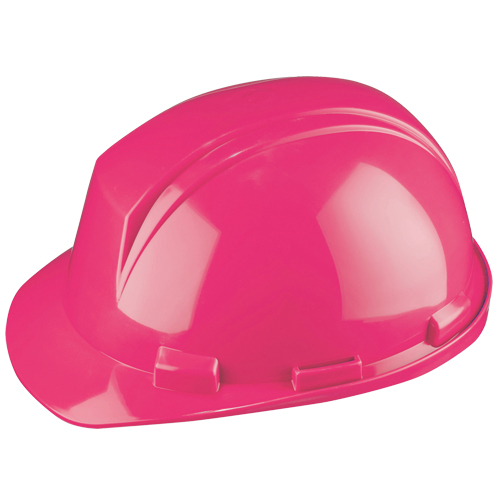 Dynamic Mont-Blanc Hardhat, Meets CSA Type 2, Pinlock Suspension, Non-Vented Distribution Industrielle GC
