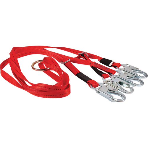 Dynamic Bridle for Wire Basket Stretcher Distribution Industrielle GC