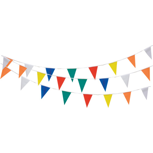 Pennant String, 60' L, Multicolour Distribution Industrielle GC