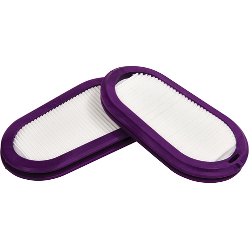 Filtres de remplacement, Filtre contre les particules, Filtre P100 Distribution Industrielle GC