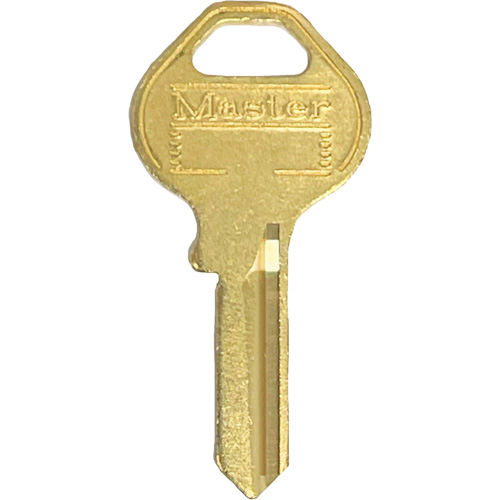 Passe-partout pour cadenas Distribution Industrielle GC