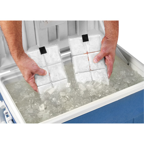 Sachets pour veste de refroidissement &agrave; changement de phase 6260 Chill-Its Distribution Industrielle GC