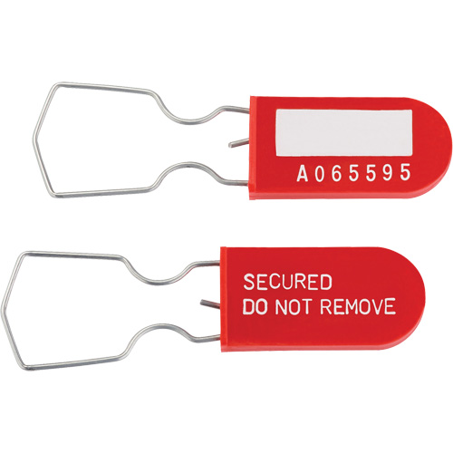 Dynamic Safety Equipment Inspection Tags, Plastic, 1" W x 2-1/4" H, English Distribution Industrielle GC