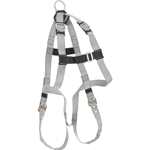 Dynamic B-Compliant Economy Harness, CSA Certified, Class AE, 310 lbs. Cap. Distribution Industrielle GC