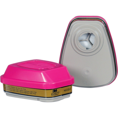 Cartouche, Combinaison cartouche et filtre contre les particules pour gaz/vapeurs, Gaz multiples/Vapeurs/P100 Distribution Industrielle GC