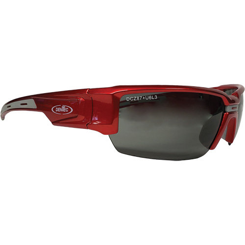 Lunettes de s&eacute;curit&eacute; Hartley, Lentille Gris, Polaris&eacute;, R&eacute;pond ou surpasse la norme CSA Z94.3 Distribution Industrielle GC