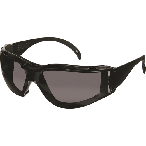 CeeTec DX Safety Glasses, Grey Lens, Anti-Fog/Anti-Scratch, Meets/Exceeds CSA Z94.3 Distribution Industrielle GC