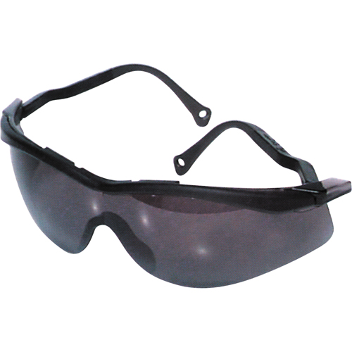 Lunettes de s&eacute;curit&eacute; North The Edge, Lentille Fum&eacute;e, Antibu&eacute;e/Anti-&eacute;gratignures, R&eacute;pond ou surpasse la norme CSA Z94.3 Distribution Industrielle GC