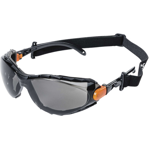 XPS502 Sealed Safety Glasses, Smoke Lens, Anti-Fog/Anti-Scratch Distribution Industrielle GC