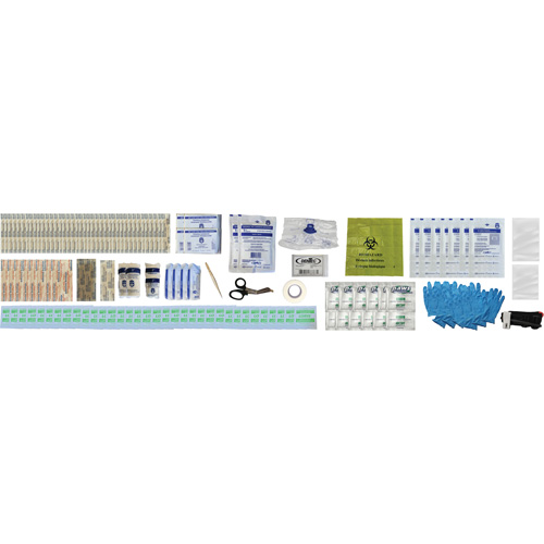 Shield First Aid Kit, Meets/Exceeds CSA Z1220-24 Type 2 Low-Risk Environment, Medium (26-50 Workers) Distribution Industrielle GC