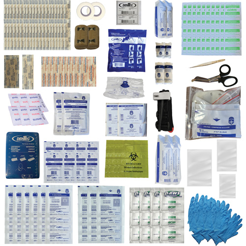 Shield First Aid Kit, Meets/Exceeds CSA Z1220-24 Type 3 High-Risk Environment, Medium (26-50 Workers) Distribution Industrielle GC