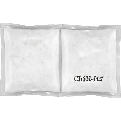 Chill-Its 6283 Rechargeable Phase Change Pack Distribution Industrielle GC