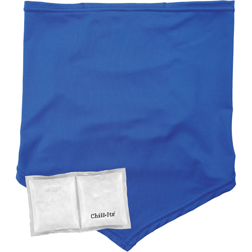 Chill-Its 6482 Cooling Neck Gaiter Bandana with Rechargeable Phase Change Packs, Small/Medium, Blue Distribution Industrielle GC