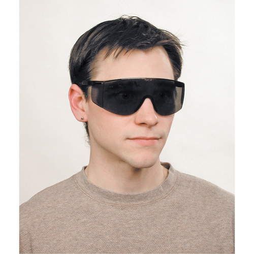 Lunettes de s&eacute;curit&eacute; Tacoma, Lentille Grise/fum&eacute;e, Anti-&eacute;gratignures, ANSI Z87+ Distribution Industrielle GC