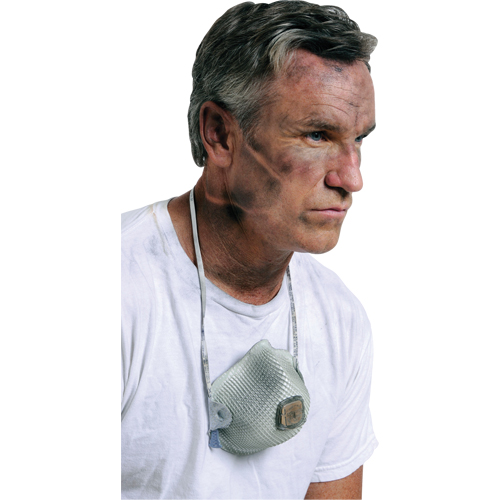 Respirateurs  contre les particules 2700, N95, Certifi&eacute; NIOSH, Grand/Moyen Distribution Industrielle GC