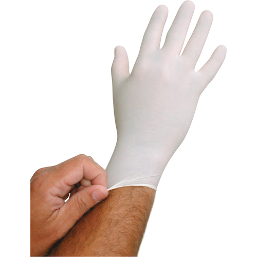 QRP BioTek&reg; Disposable Gloves, Large, Latex, 6-mil, Powder-Free, White Distribution Industrielle GC