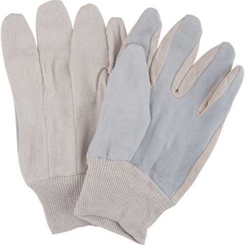 Gants de travail d'usage standard, Grand, Paume en Cuir de vache refendu Distribution Industrielle GC