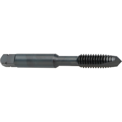 Spiral Point Tap, High Speed Cobalt, 8-32 Thread, 2-1/8" L Distribution Industrielle GC
