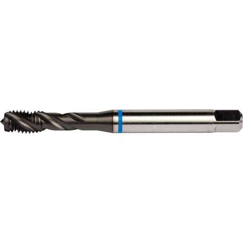Taraud &agrave; cannelures h&eacute;licoidales Blue Shark, Acier rapide au cobalt, Filet de 1/4"-28, 3,15" l Distribution Industrielle GC