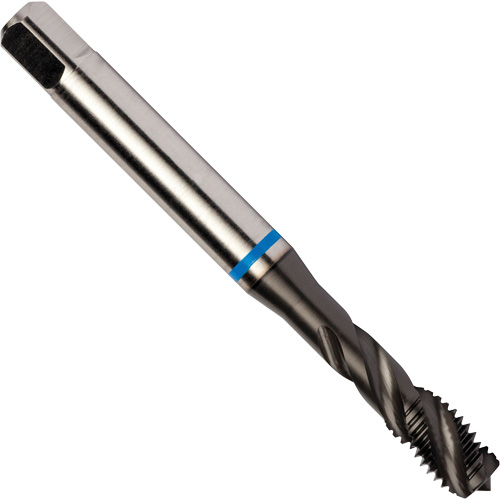 Taraud &agrave; cannelures h&eacute;licoidales Blue Shark, Acier rapide au cobalt, Filet de 1/4"-28, 3,15" l Distribution Industrielle GC