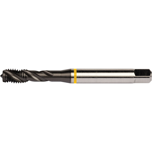 Taraud &agrave; goujures h&eacute;licoidales Yellow Shark, Acier rapide au cobalt, Filet de 1/4"-20, 3,15" l Distribution Industrielle GC