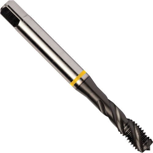 Taraud &agrave; goujures h&eacute;licoidales Yellow Shark, Acier rapide au cobalt, Filet de 1/4"-20, 3,15" l Distribution Industrielle GC