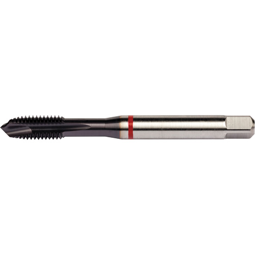 Red Shark Spiral Point Tap, High Speed Cobalt, 3/8"-16 Thread, 3.543" L Distribution Industrielle GC