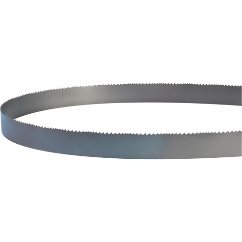 Lame soud&eacute;e pour scie &agrave; ruban, Bim&eacute;tal, 14' lo x 1" la x 4 - 6 dents par pouce Distribution Industrielle GC