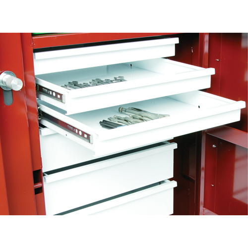 &eacute;tabli roulant, 49-7/8" la x 40-5/8" h x 26-7/8" p, Capacit&eacute; de 24,6 pi³ Distribution Industrielle GC