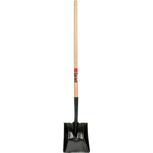 Square Point Shovel, Wood, Tempered Steel Blade, Straight Handle, 42" Long Distribution Industrielle GC
