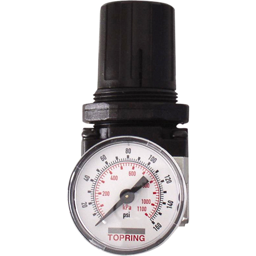 Regulators, 1/4" NPT, 150 PSI Max. PSI, Modular Distribution Industrielle GC