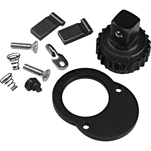 Ratchet Repair Kit Distribution Industrielle GC